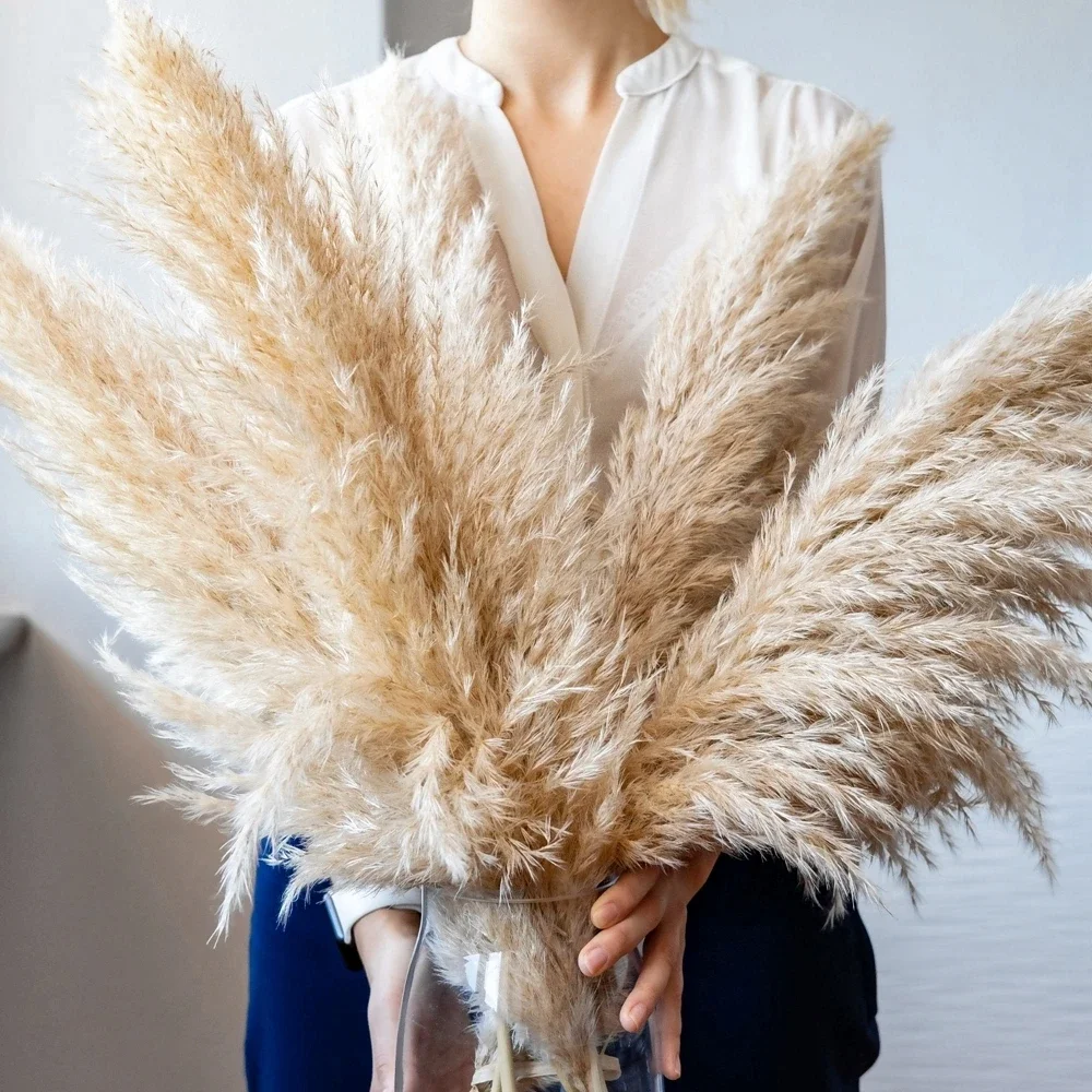 Dried Flower Bulk - 120 cm - 130 cm pluizig