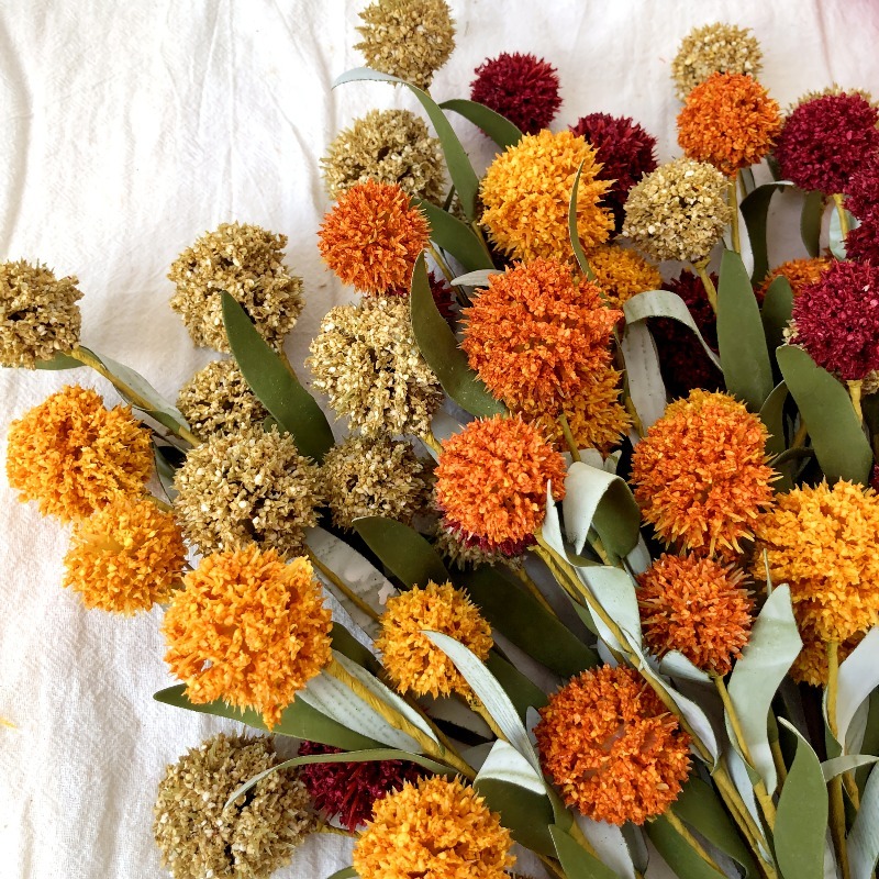 42cm Daisy Gedroogde Bloem Kun - Dried Flower Bulk recensie en prijs