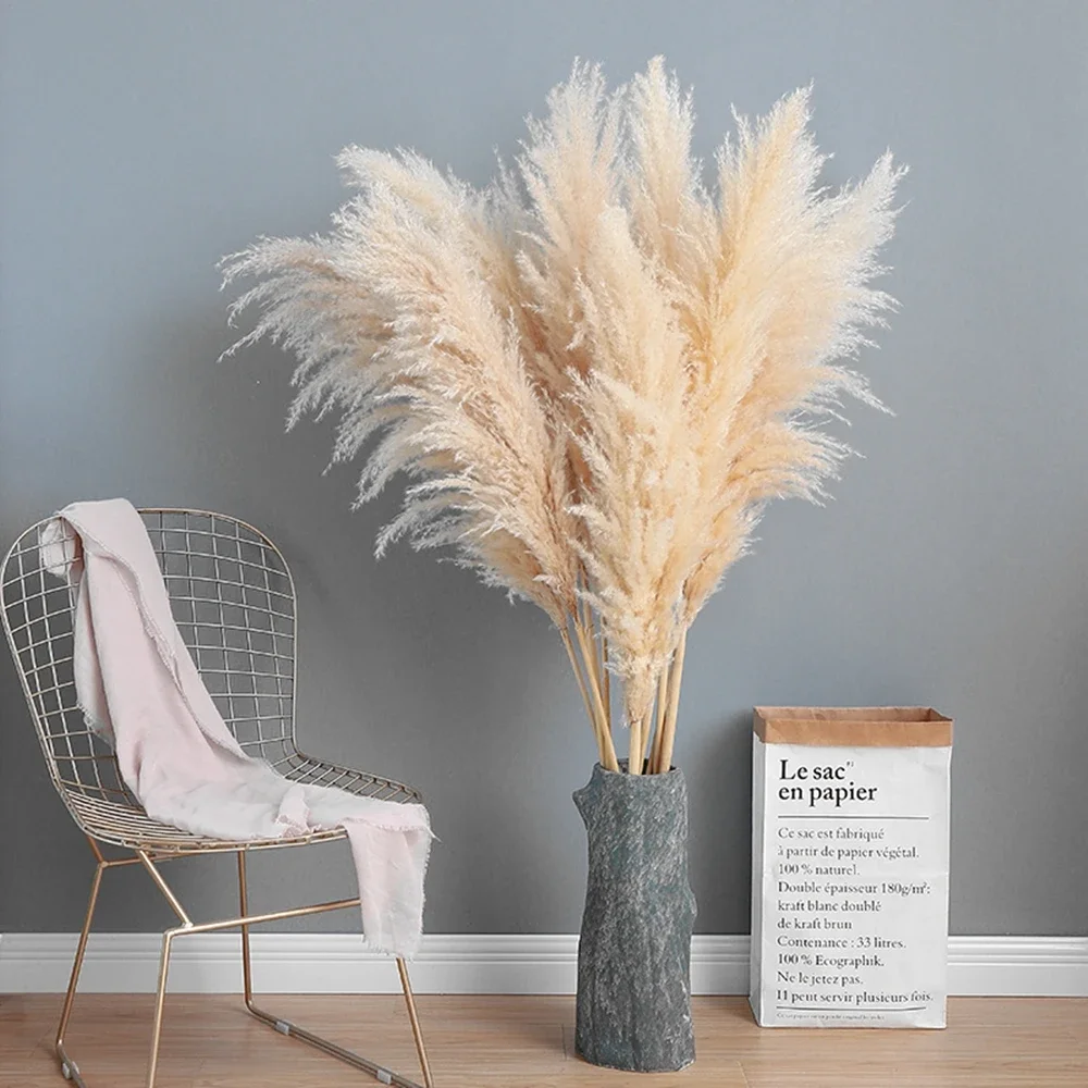 120 cm - 130 cm pluizig groot  - Dried Flower Bulk recensie en prijs