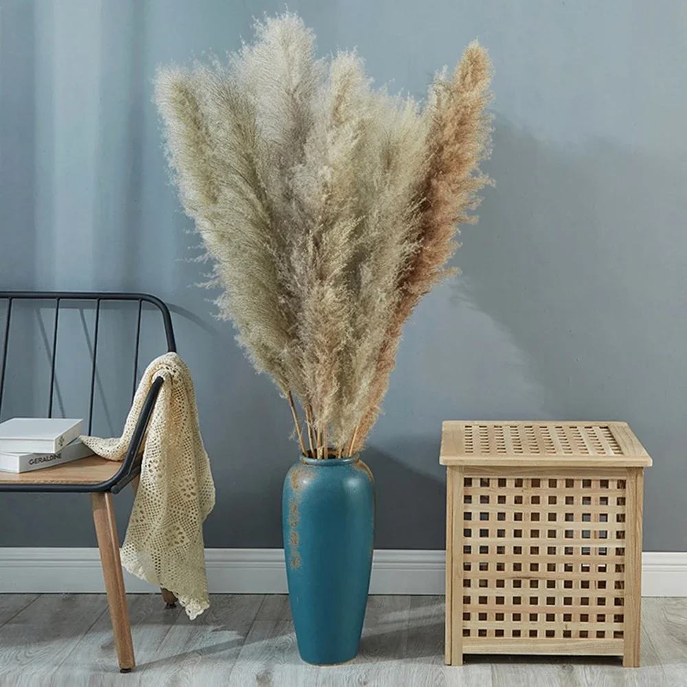 120 cm - 130 cm pluizig groot  - Dried Flower Bulk recensie en prijs