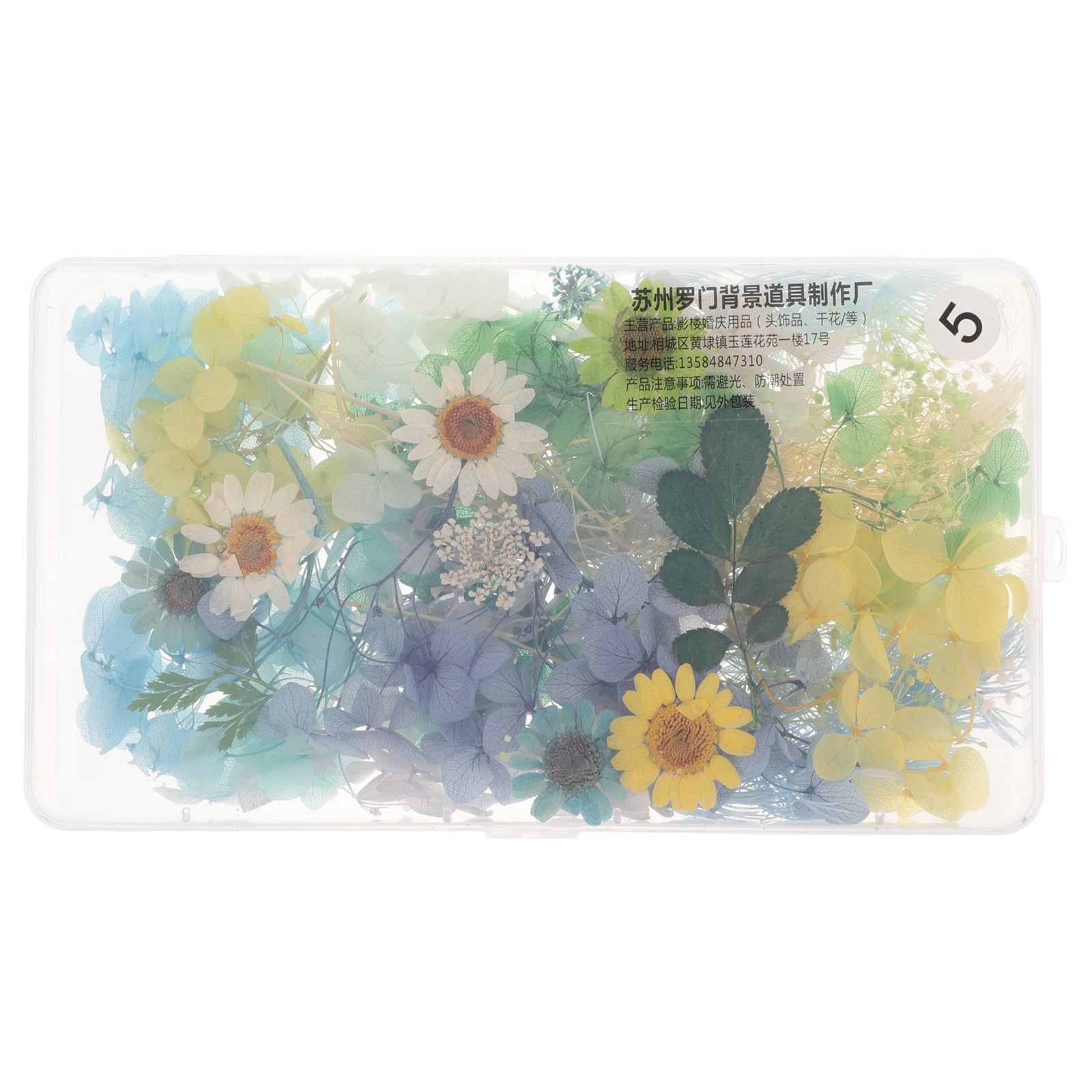 DIY Bruidshoofdband Gedroogde  - Resin Craft Kit recensie en prijs