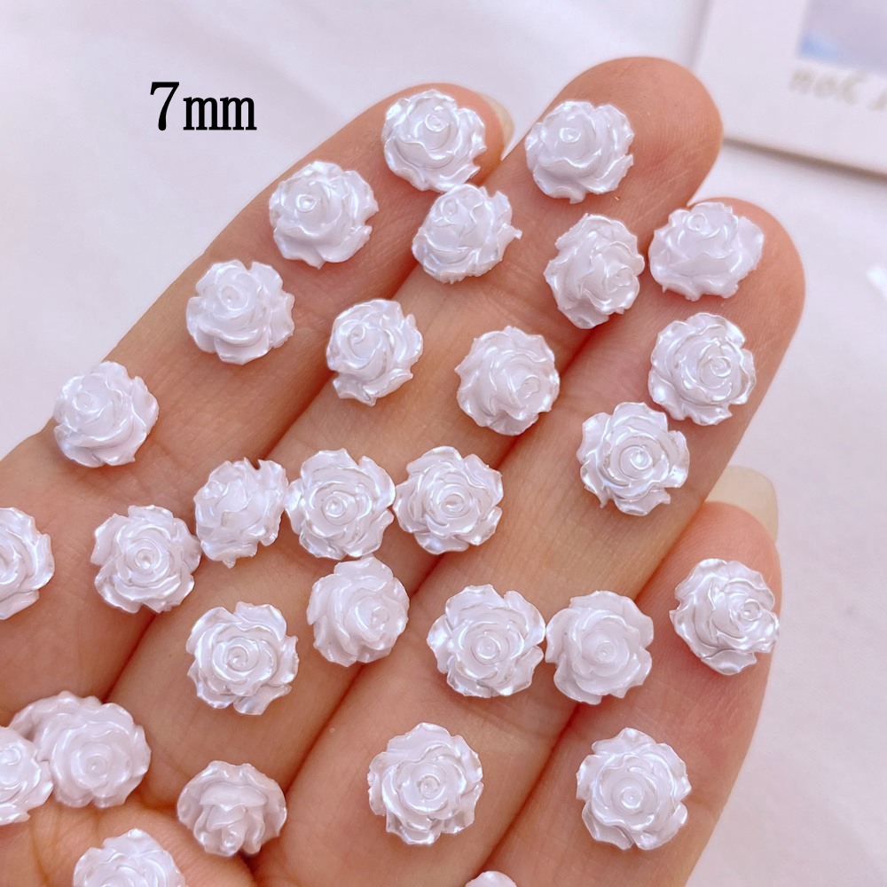 100 Stuks Nieuwe Schattige Min - Flower Preservation Resin recensie en prijs